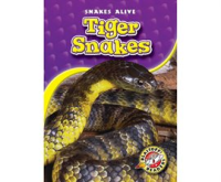 Tiger_snakes